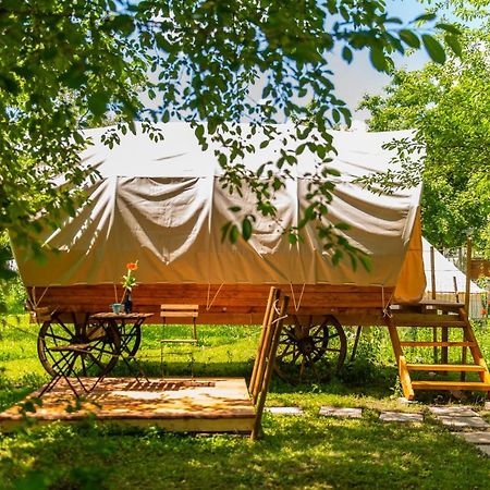Dragonfly Gardens - The Wagons Hotel Braşov Eksteriør billede