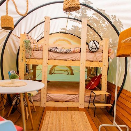 Dragonfly Gardens - The Wagons Hotel Braşov Eksteriør billede