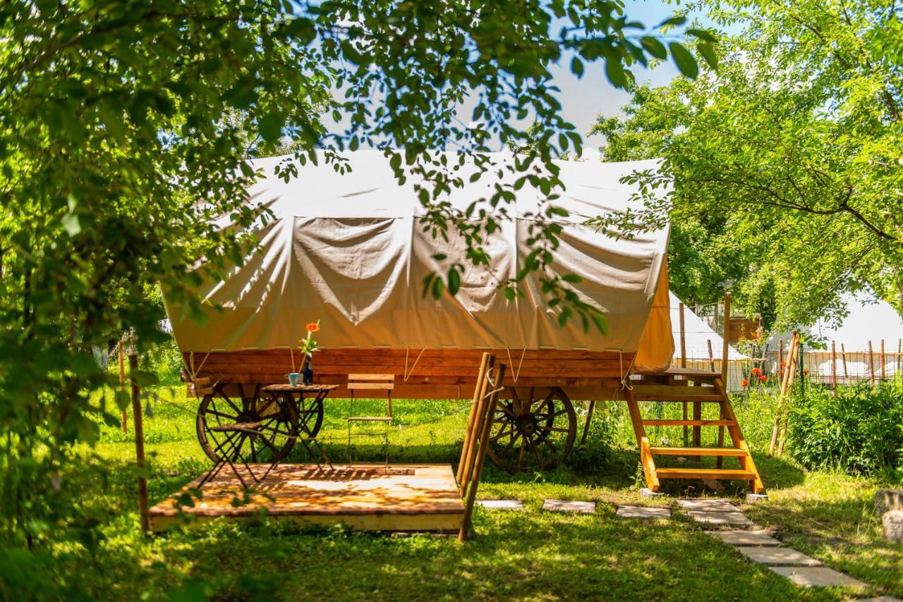Dragonfly Gardens - The Wagons Hotel Braşov Eksteriør billede
