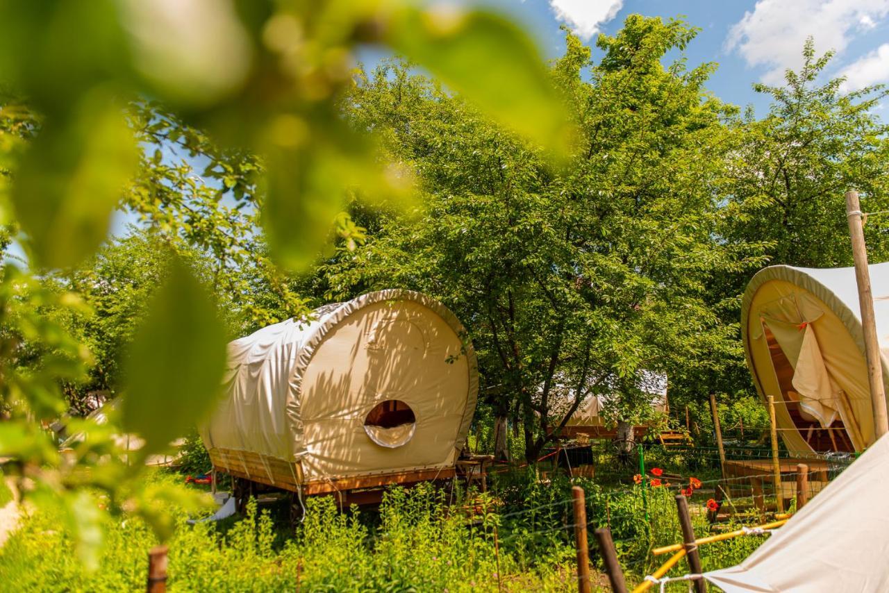 Dragonfly Gardens - The Wagons Hotel Braşov Eksteriør billede
