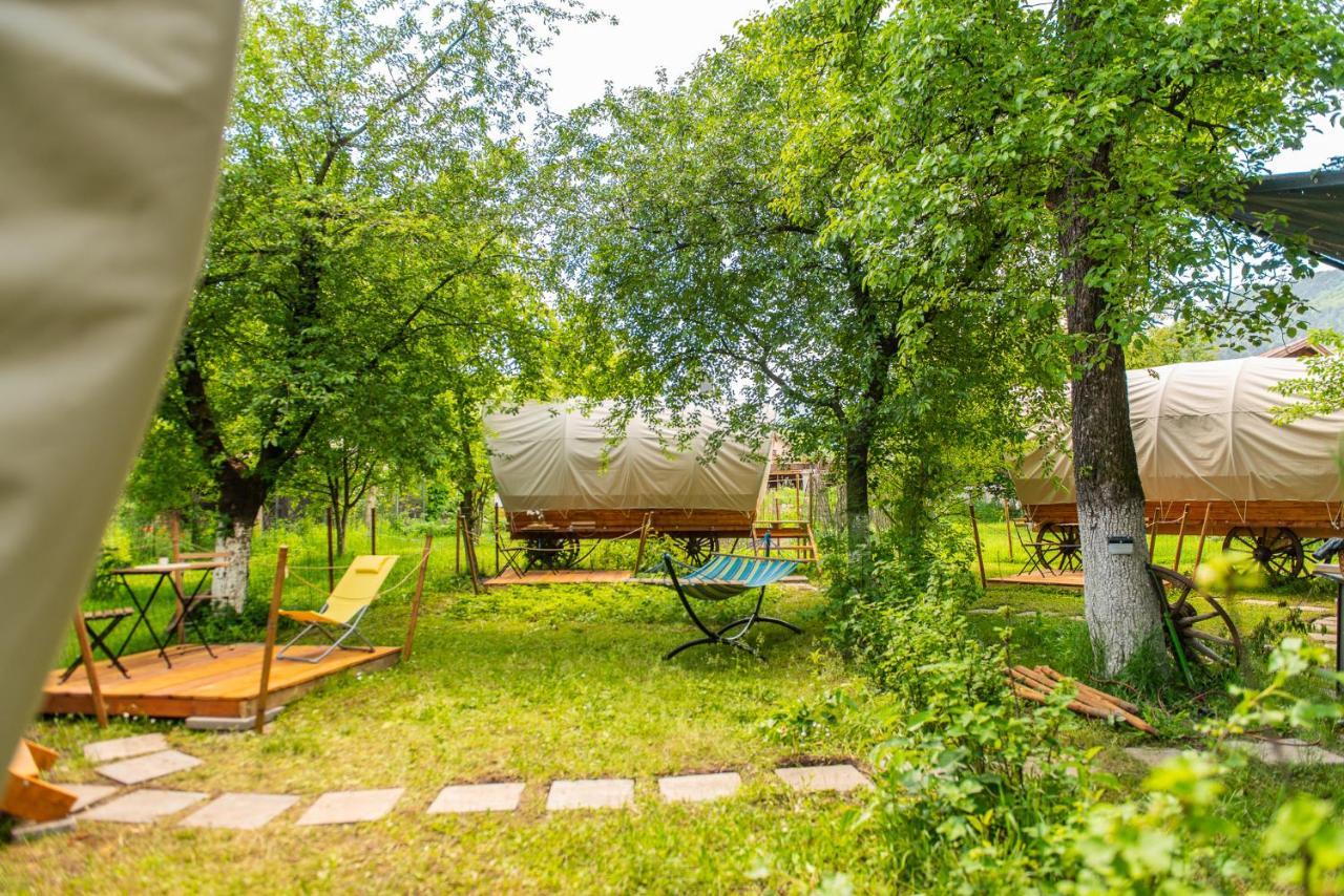Dragonfly Gardens - The Wagons Hotel Braşov Eksteriør billede