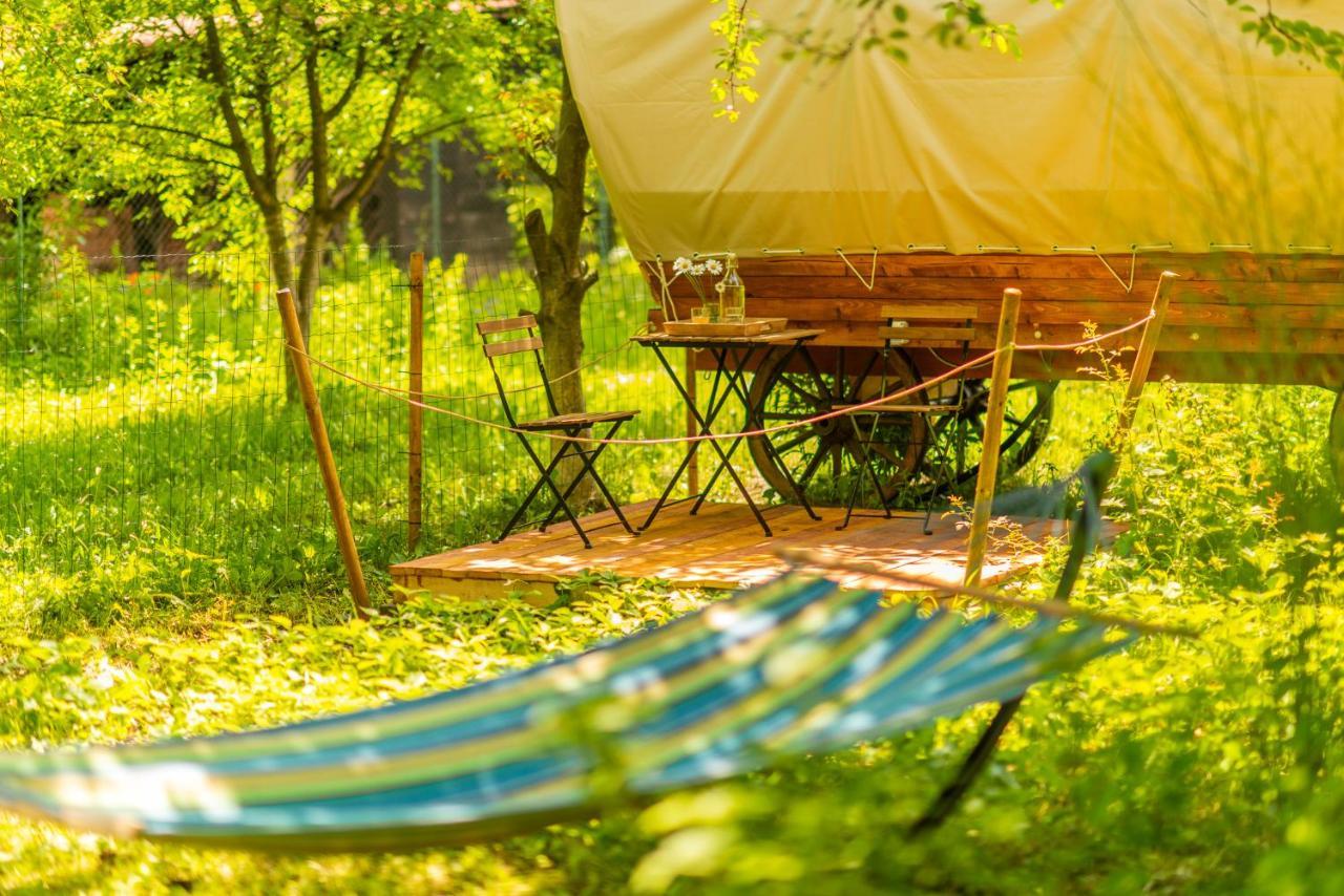 Dragonfly Gardens - The Wagons Hotel Braşov Eksteriør billede