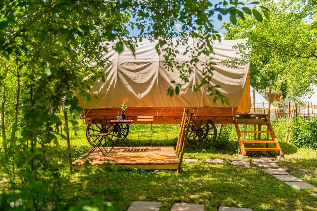 Dragonfly Gardens - The Wagons Hotel Braşov Eksteriør billede