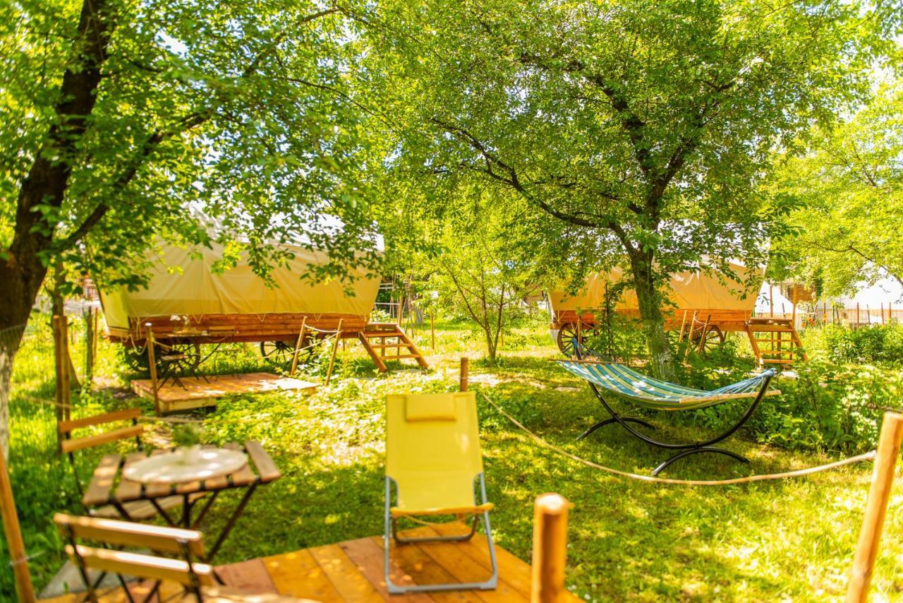 Dragonfly Gardens - The Wagons Hotel Braşov Eksteriør billede