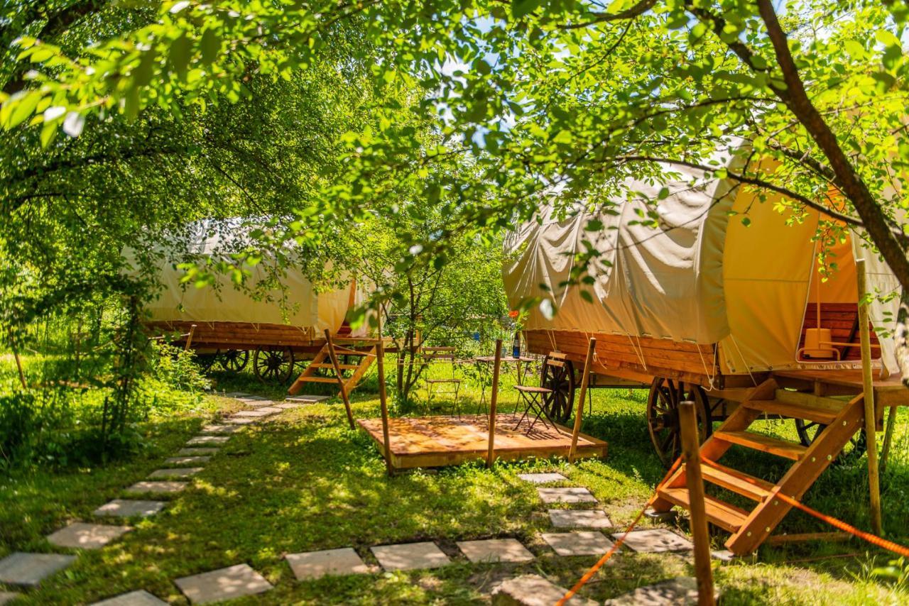 Dragonfly Gardens - The Wagons Hotel Braşov Eksteriør billede