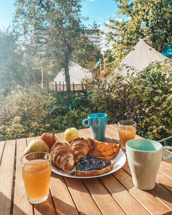 Dragonfly Gardens - The Wagons Hotel Braşov Eksteriør billede