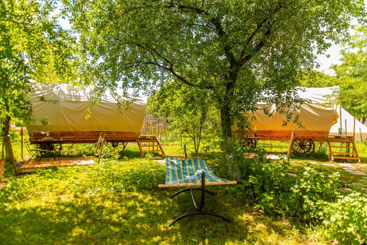Dragonfly Gardens - The Wagons Hotel Braşov Eksteriør billede