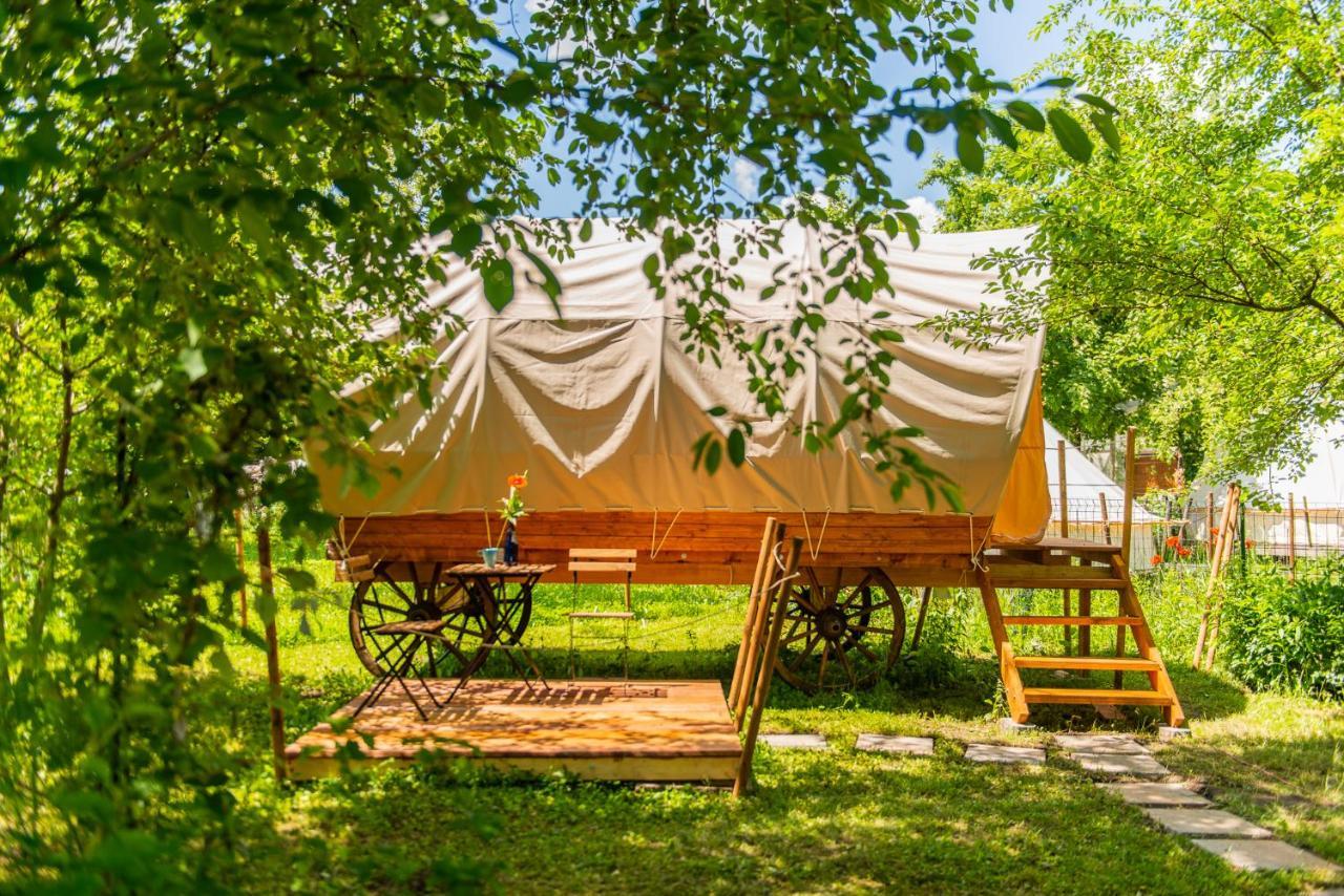 Dragonfly Gardens - The Wagons Hotel Braşov Eksteriør billede