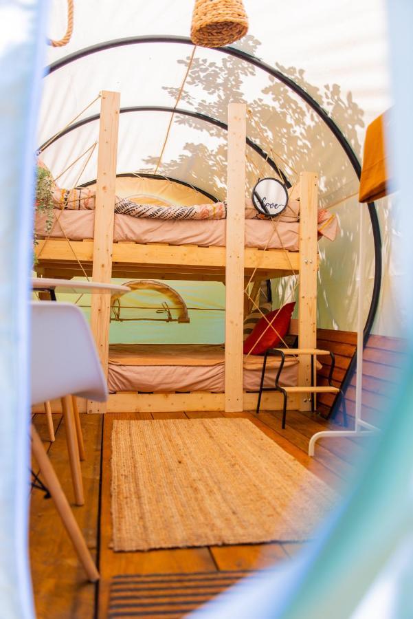 Dragonfly Gardens - The Wagons Hotel Braşov Eksteriør billede