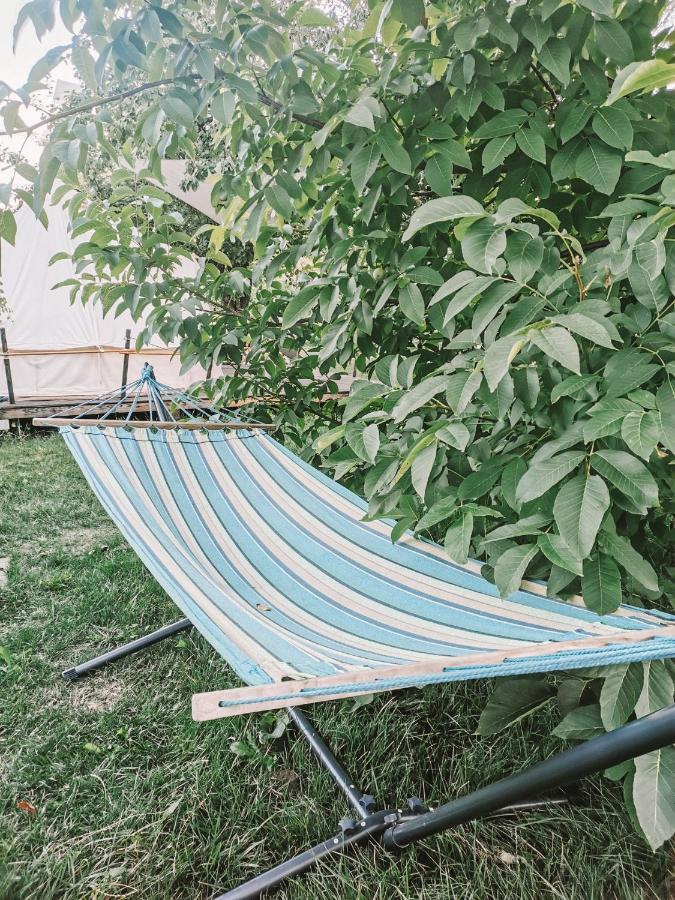 Dragonfly Gardens - The Wagons Hotel Braşov Eksteriør billede