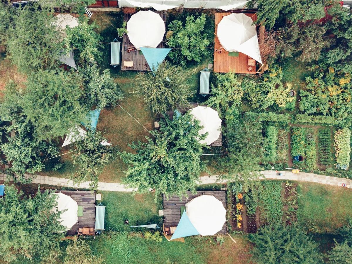 Dragonfly Gardens - The Wagons Hotel Braşov Eksteriør billede
