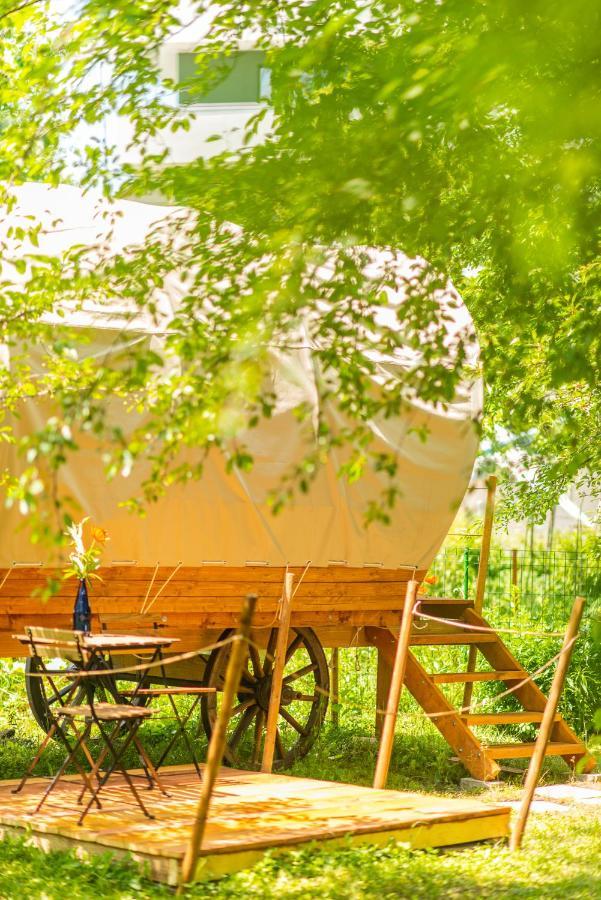 Dragonfly Gardens - The Wagons Hotel Braşov Eksteriør billede