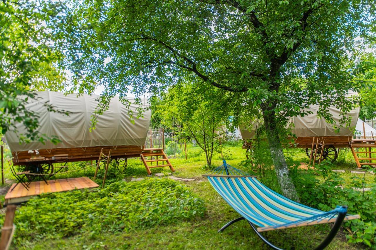 Dragonfly Gardens - The Wagons Hotel Braşov Eksteriør billede