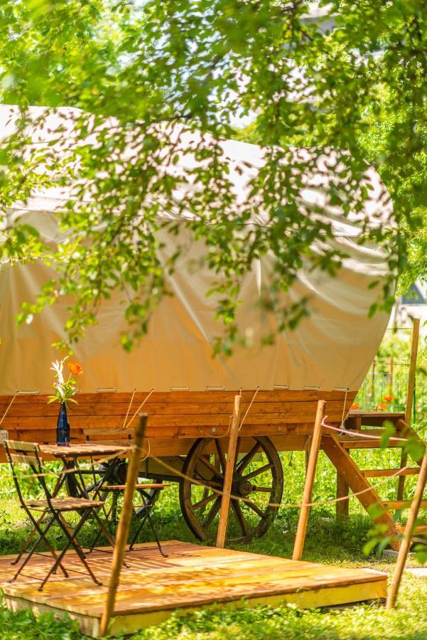 Dragonfly Gardens - The Wagons Hotel Braşov Eksteriør billede