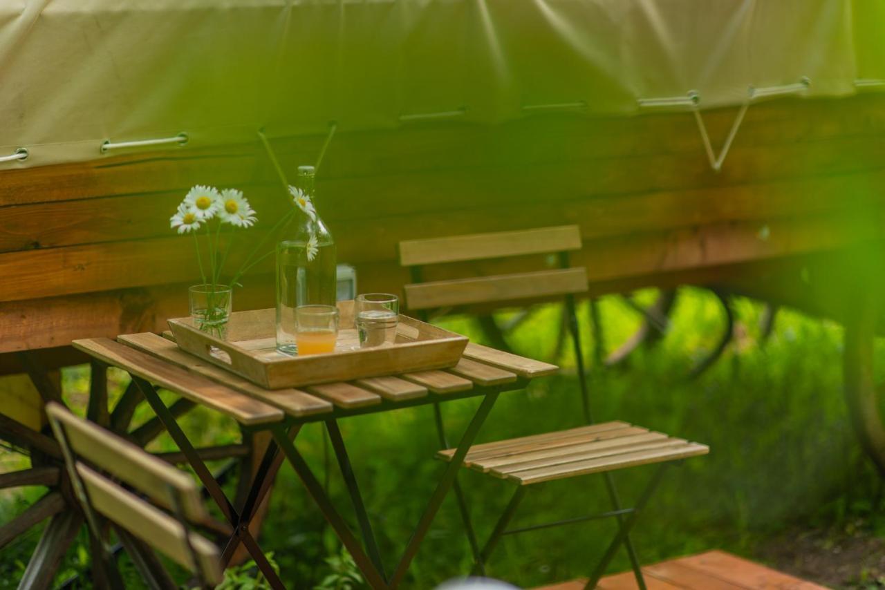 Dragonfly Gardens - The Wagons Hotel Braşov Eksteriør billede