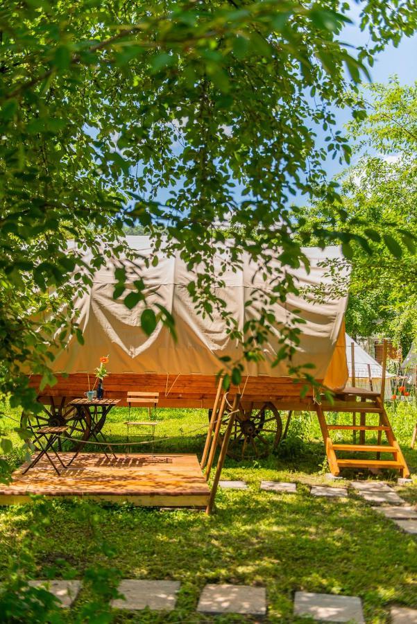 Dragonfly Gardens - The Wagons Hotel Braşov Eksteriør billede