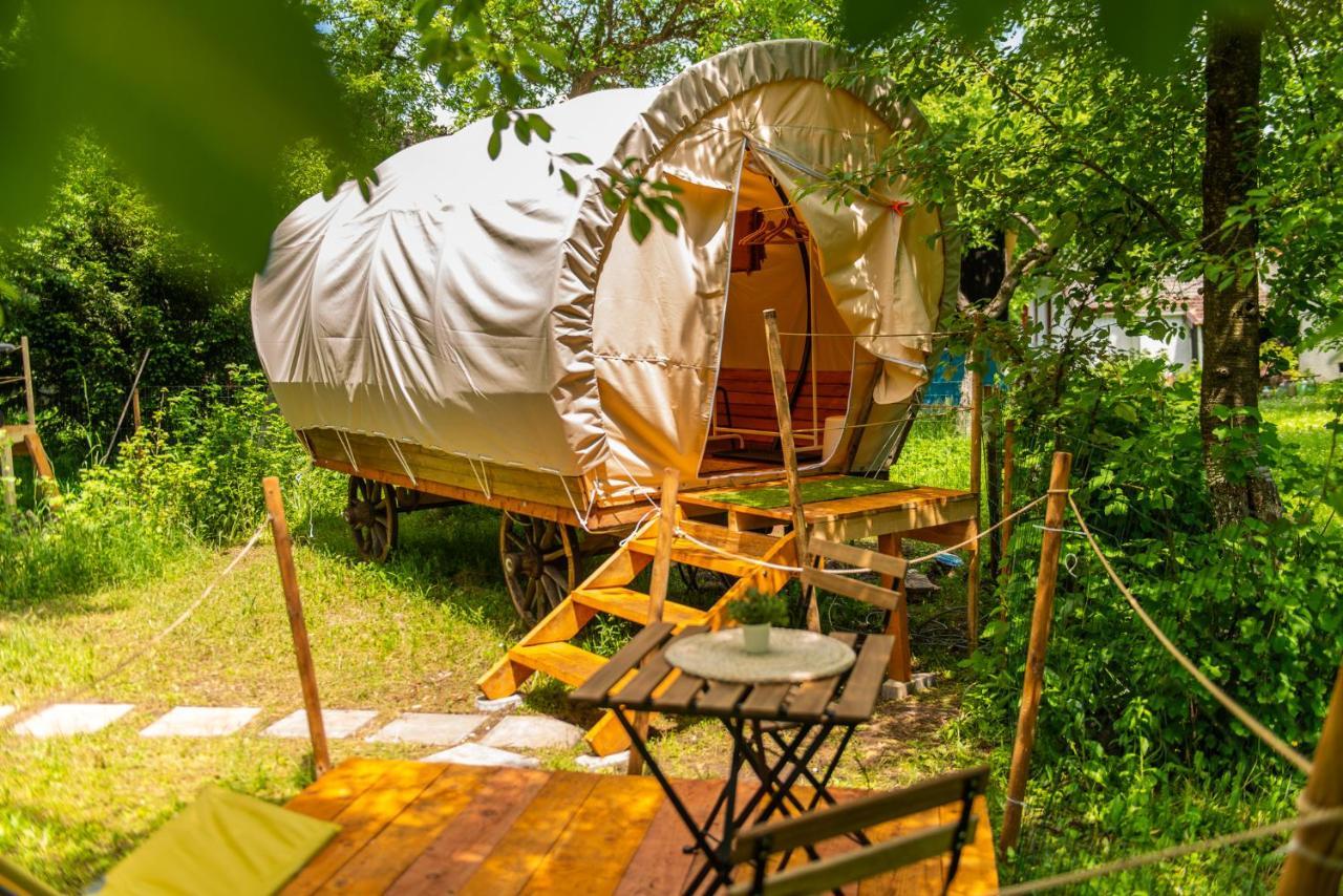 Dragonfly Gardens - The Wagons Hotel Braşov Eksteriør billede