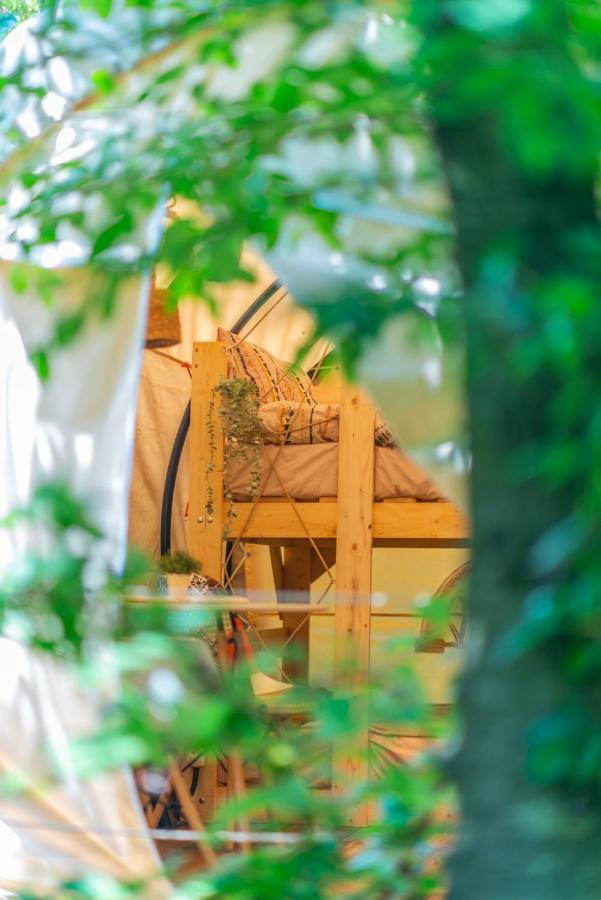 Dragonfly Gardens - The Wagons Hotel Braşov Eksteriør billede