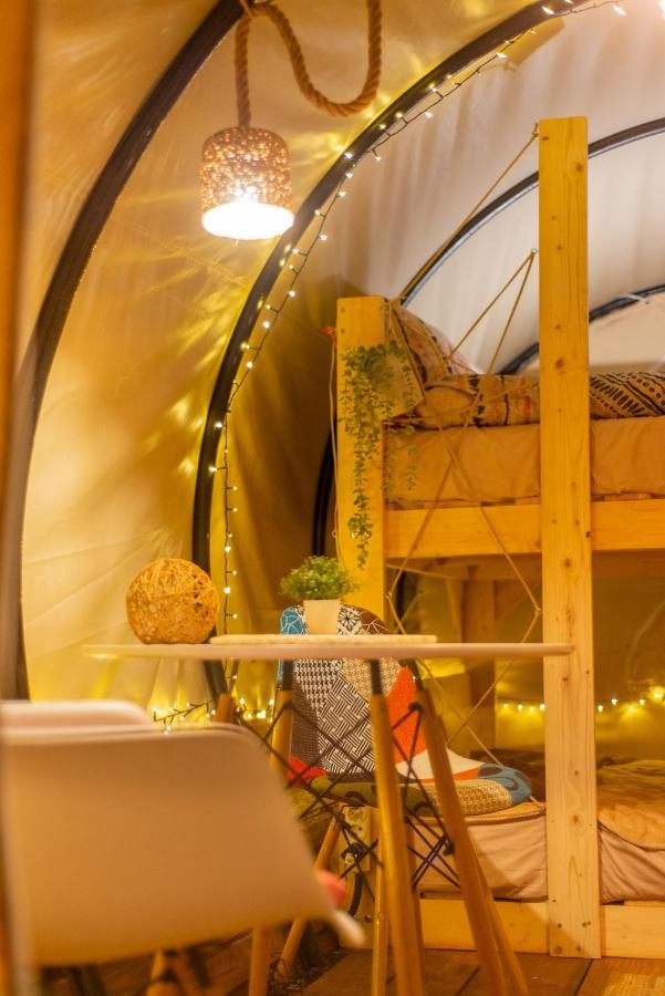 Dragonfly Gardens - The Wagons Hotel Braşov Eksteriør billede