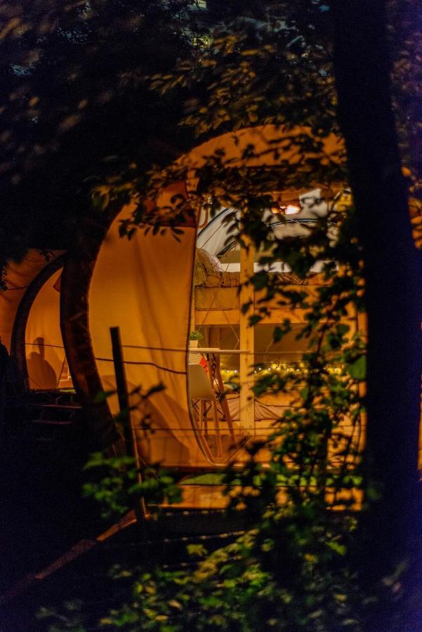 Dragonfly Gardens - The Wagons Hotel Braşov Eksteriør billede