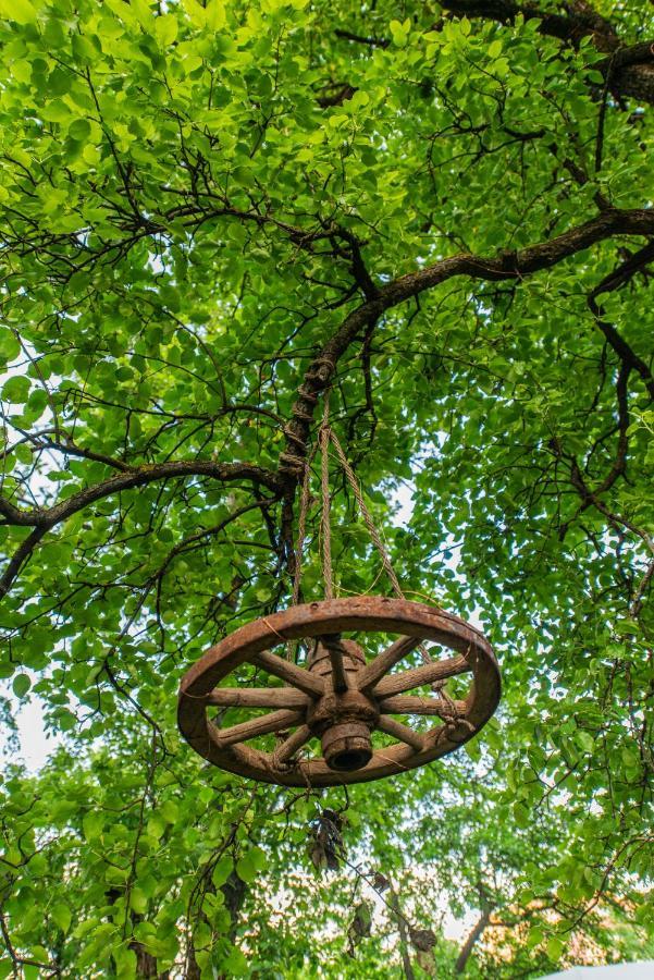 Dragonfly Gardens - The Wagons Hotel Braşov Eksteriør billede