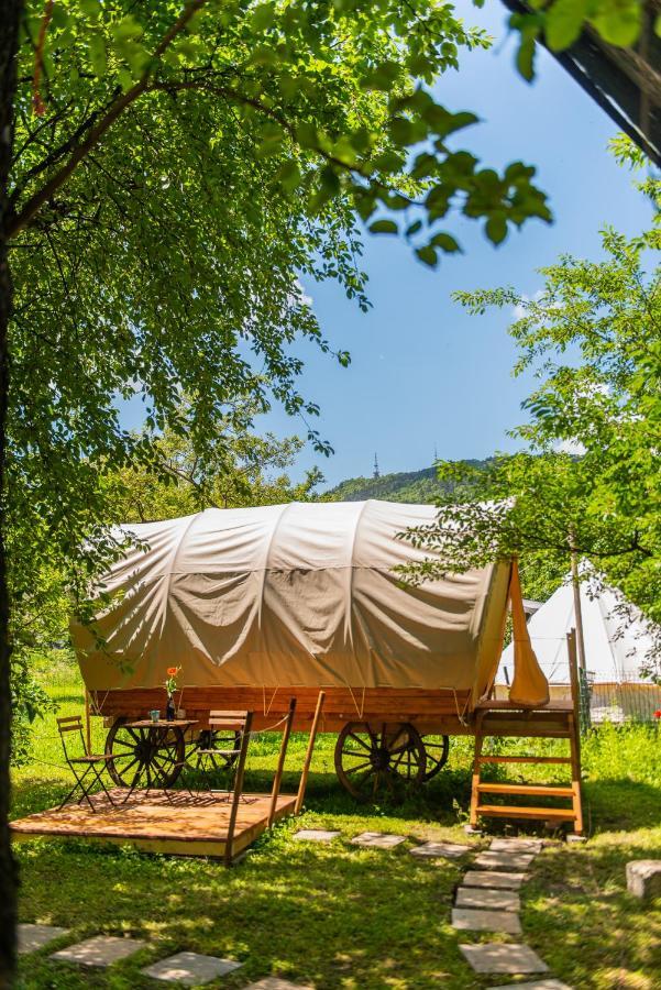 Dragonfly Gardens - The Wagons Hotel Braşov Eksteriør billede