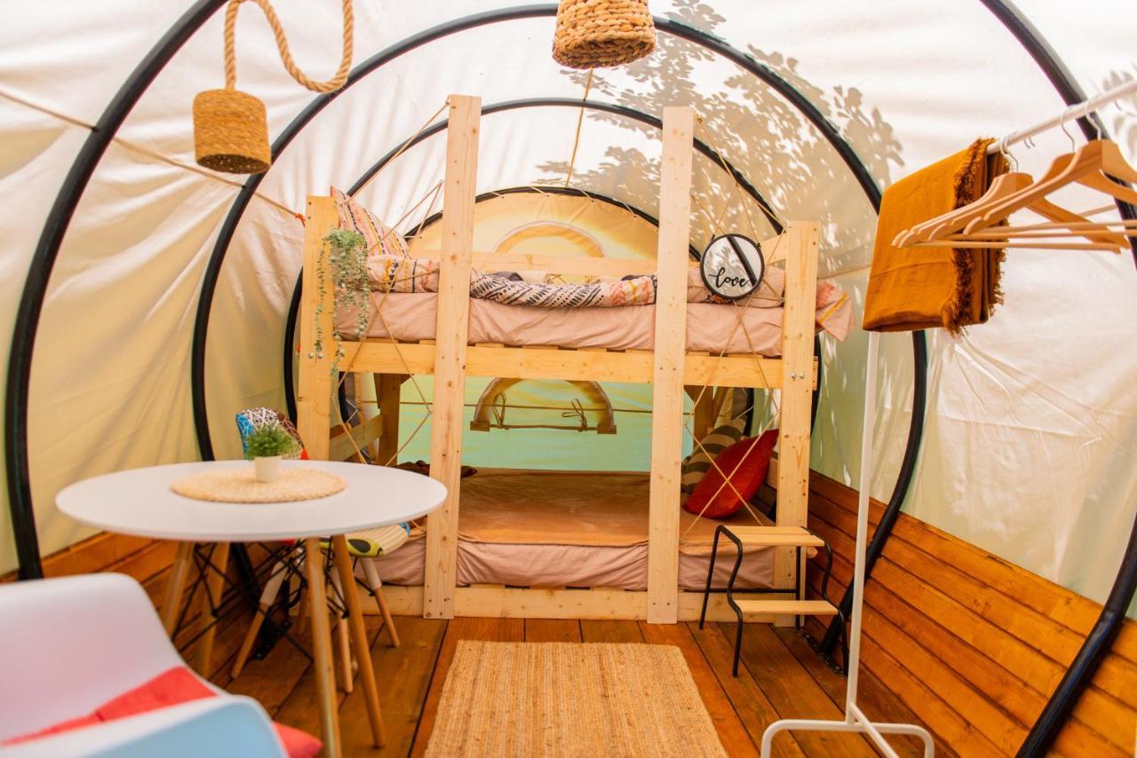Dragonfly Gardens - The Wagons Hotel Braşov Eksteriør billede