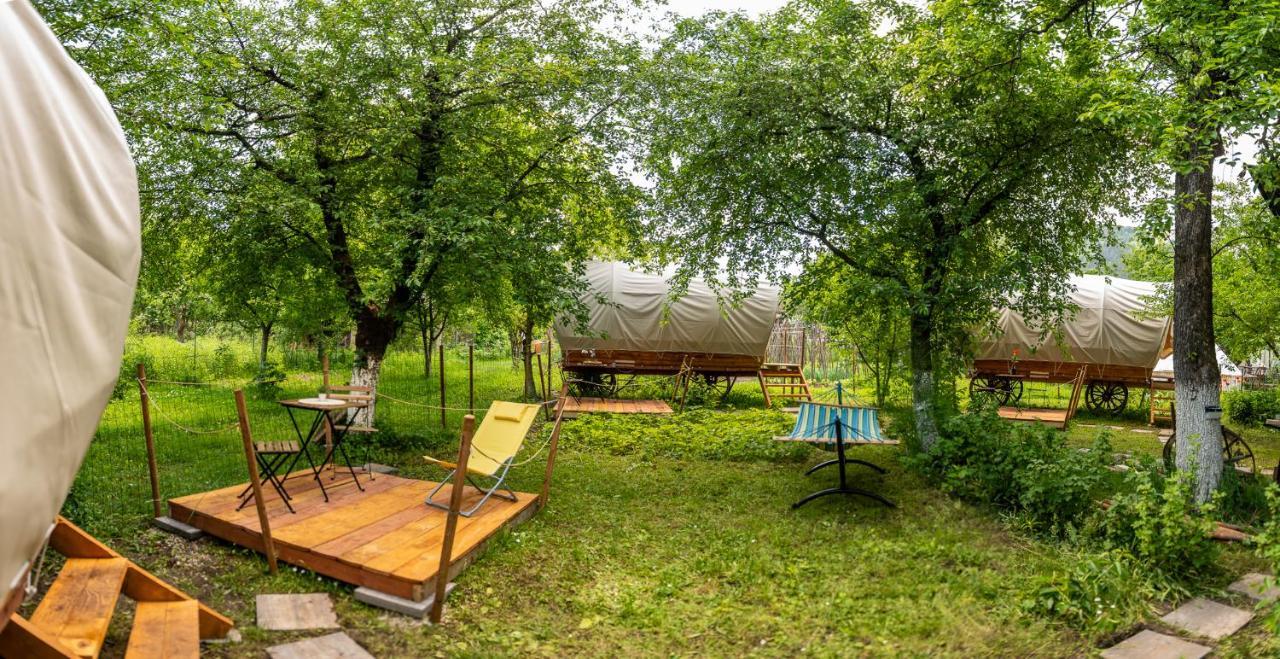 Dragonfly Gardens - The Wagons Hotel Braşov Eksteriør billede